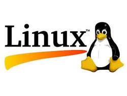 linux